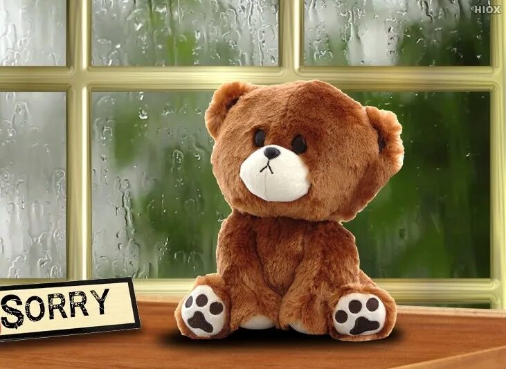 Sorry what did you say. Медвежонок sorry. I'M sorry с мишкой. I am sorry Bear. Сорри картинка.