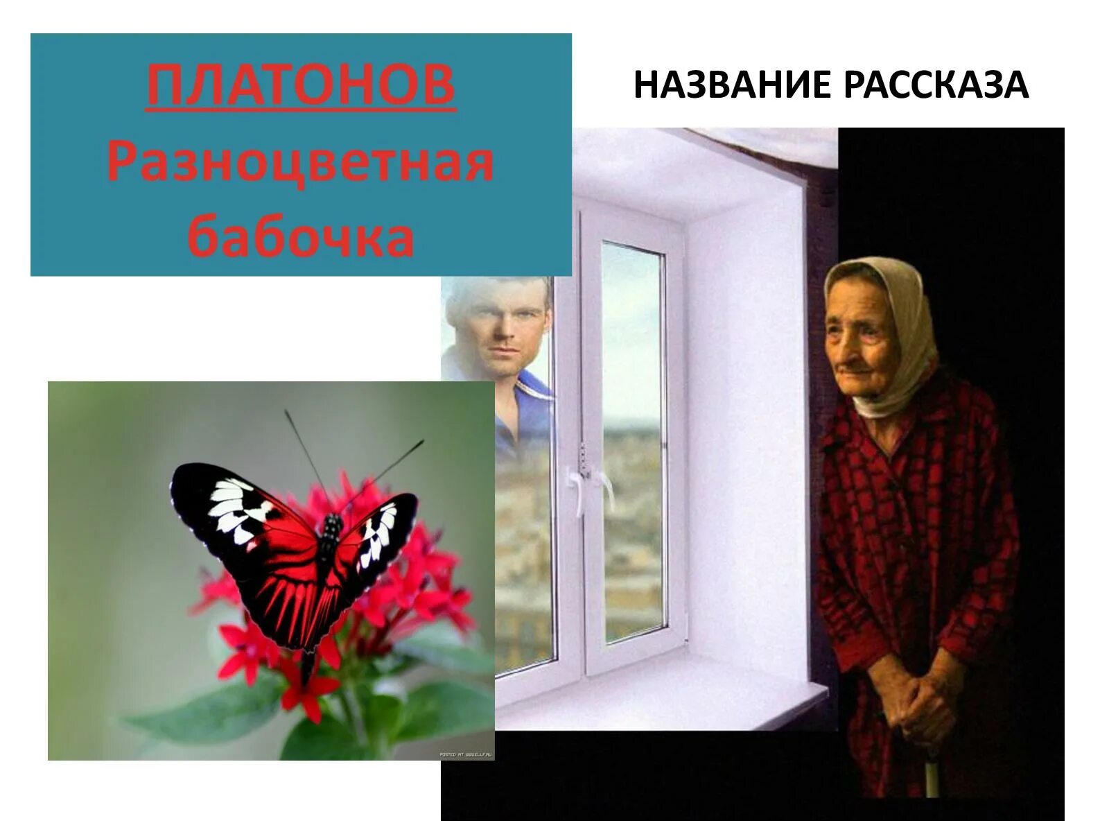 Произведение разноцветные бабочки. Платонов цветная бабочка. Платонов разноцветная бабочка книга.