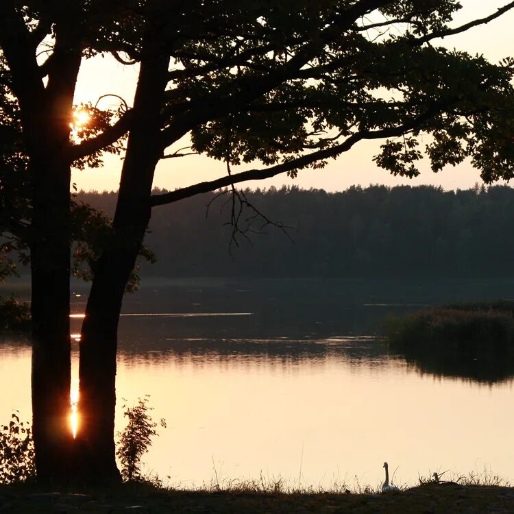 Тихий вечер. Вечер на озере белом. Тихий вечер фото. Тихий вечер от комаров. Вечер был тихий легкий