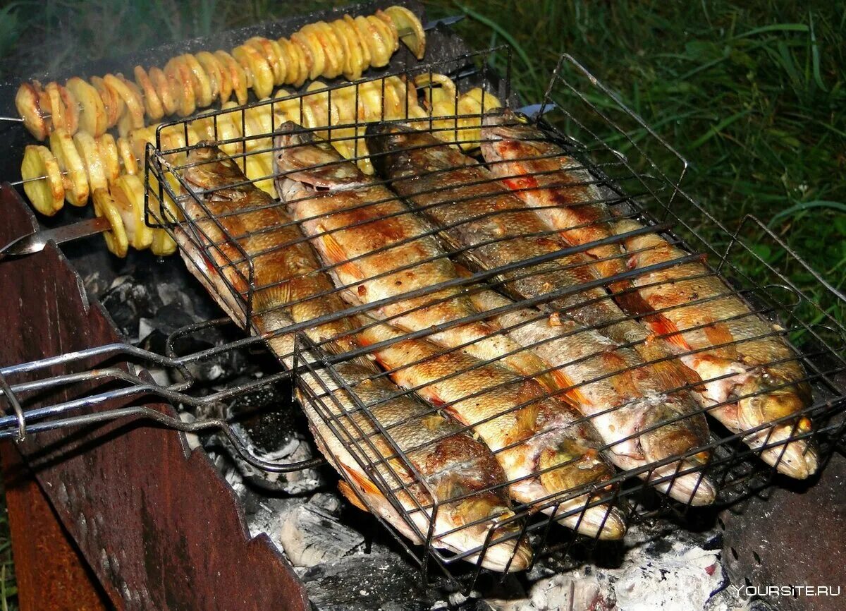 Речная рыба на костре рецепт