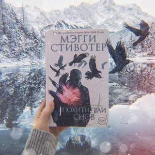 Похитители снов мэгги стивотер