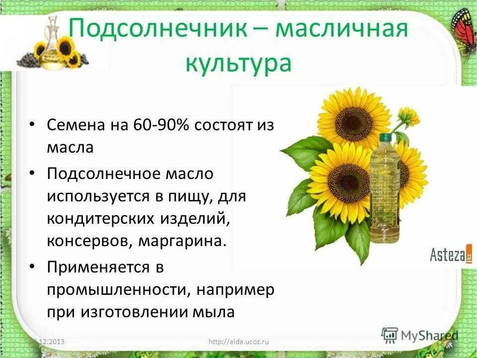Группа растений в которую входит подсолнух. Группа растений в которую входит подсолнух