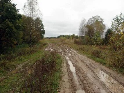 Прогноз погода село кошелиха