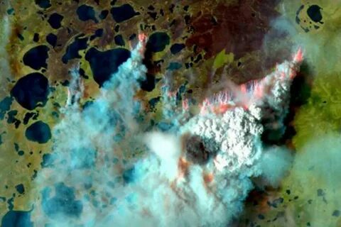 В сибири нашли зомби вирус