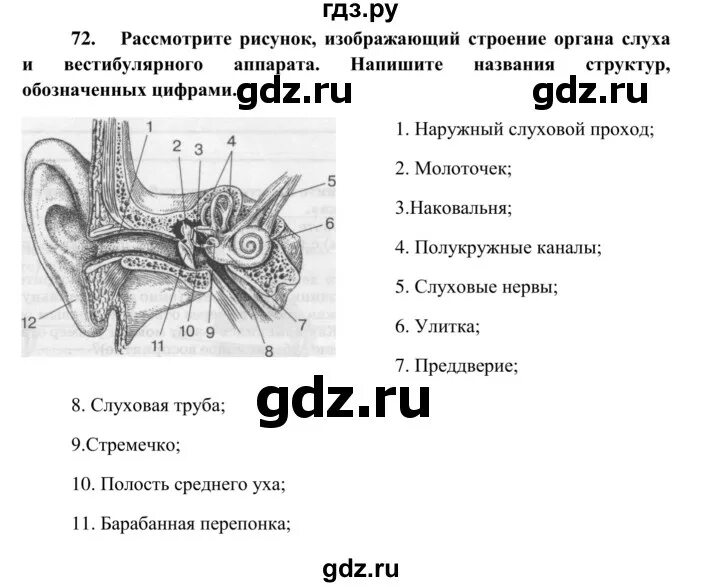 Биология 8 класс 60. Задания по учебнику биологии 8 класс Сонин. Практические задания по биологии 8 класс Сонин, Агафонова.