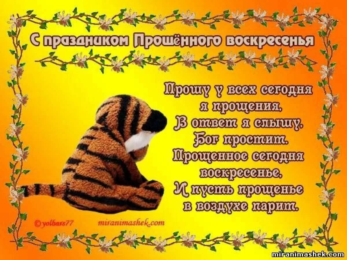 Как просить прощения в воскресенье. С прощенным воскресеньем. открытки с прощённым воскресеньем. прошу прощения в прощенное воскресенье. прощение в прощенное воскресенье открытки.