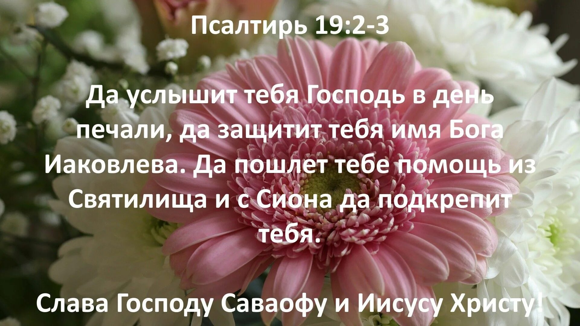 Псалом 19 читать. Да услышит тебя Господь. Стихи из Библии в картинках. Да защитит тебя Господь в день печали. Слава Господу.