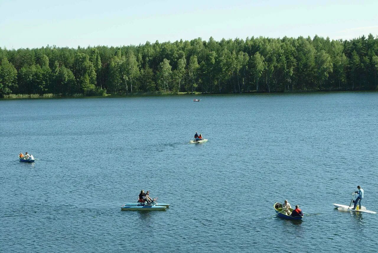 Белое озеро вологодская область. Белое озеро хабаровск. Озеро святое шатура saint lake. Отдых на берегу белого озера. Белое озеро ульяновская область прибрежный.