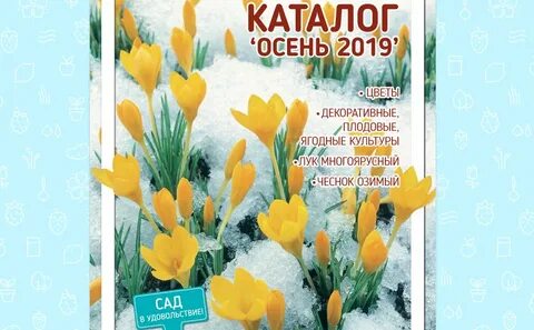 Каталог осень