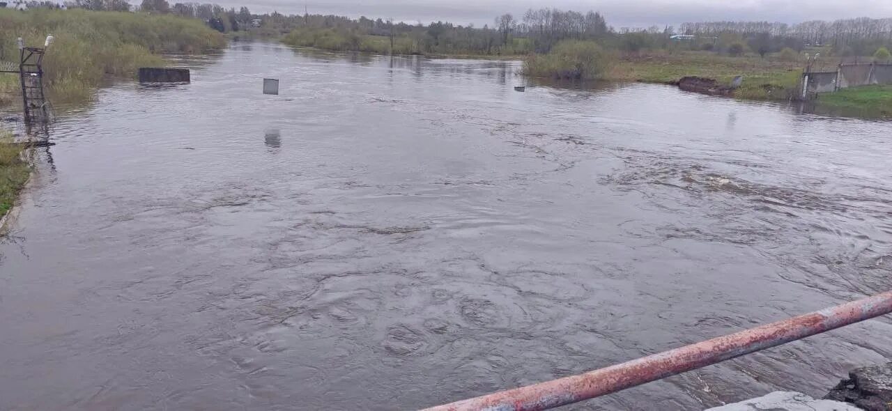 Высокий подъем воды в реке. Уровень реки в Вологде. Паводок. Вода на разлив. Вода река.