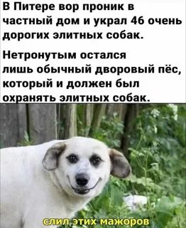 Анекдоты и шутки в картинках. 145. Животные.: val000 - ЖЖ