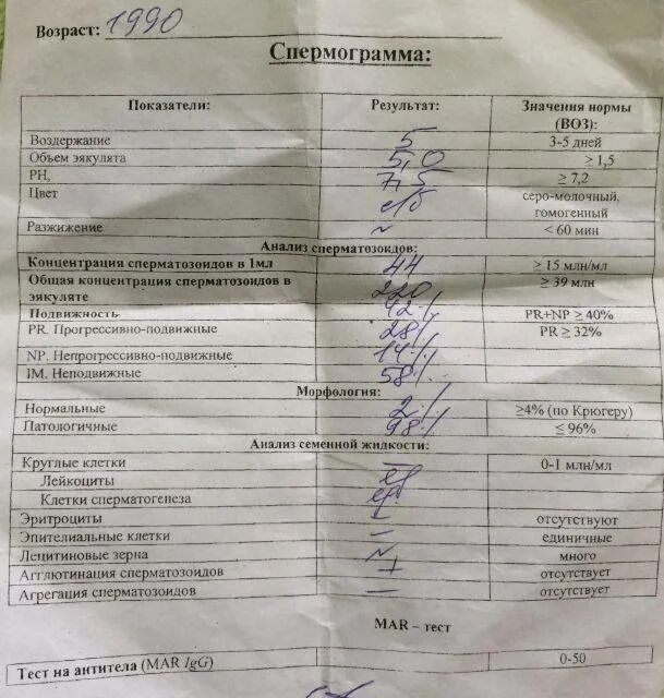 Сдать спермограмму эко. Спермограмма. анализ эякулята. анализ на спермограмму. сдать анализ на спермограмму.