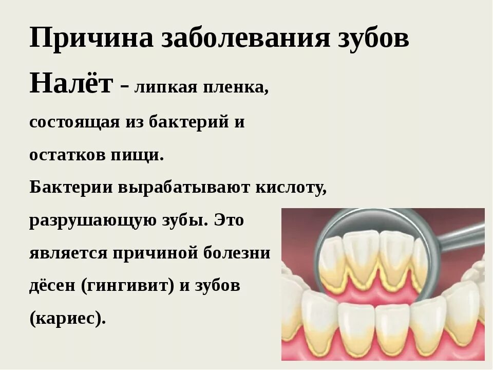 Почему зубы отличаются между собой у разных