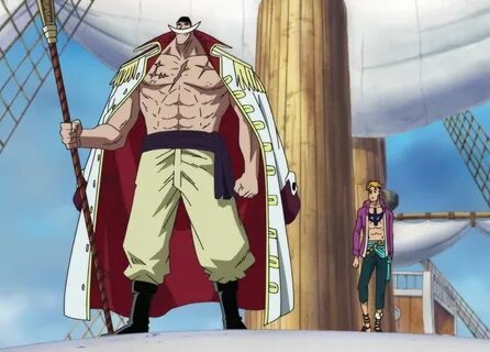 One piece белоус