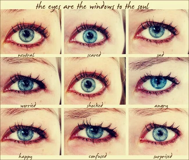 The eyes are the window to. The eyes are the window of the soul. Сила взгляда глаза. The eyes are the window to. Eyes are the window to the soul.