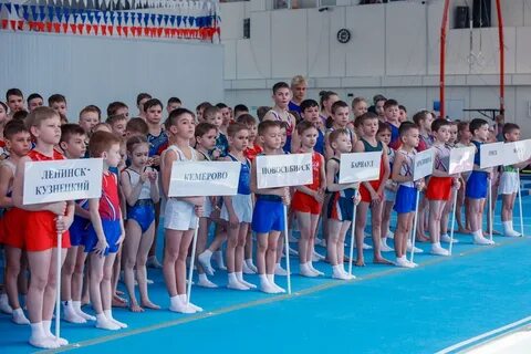 Соревнования по спортивной гимнастике 2023 красноярск