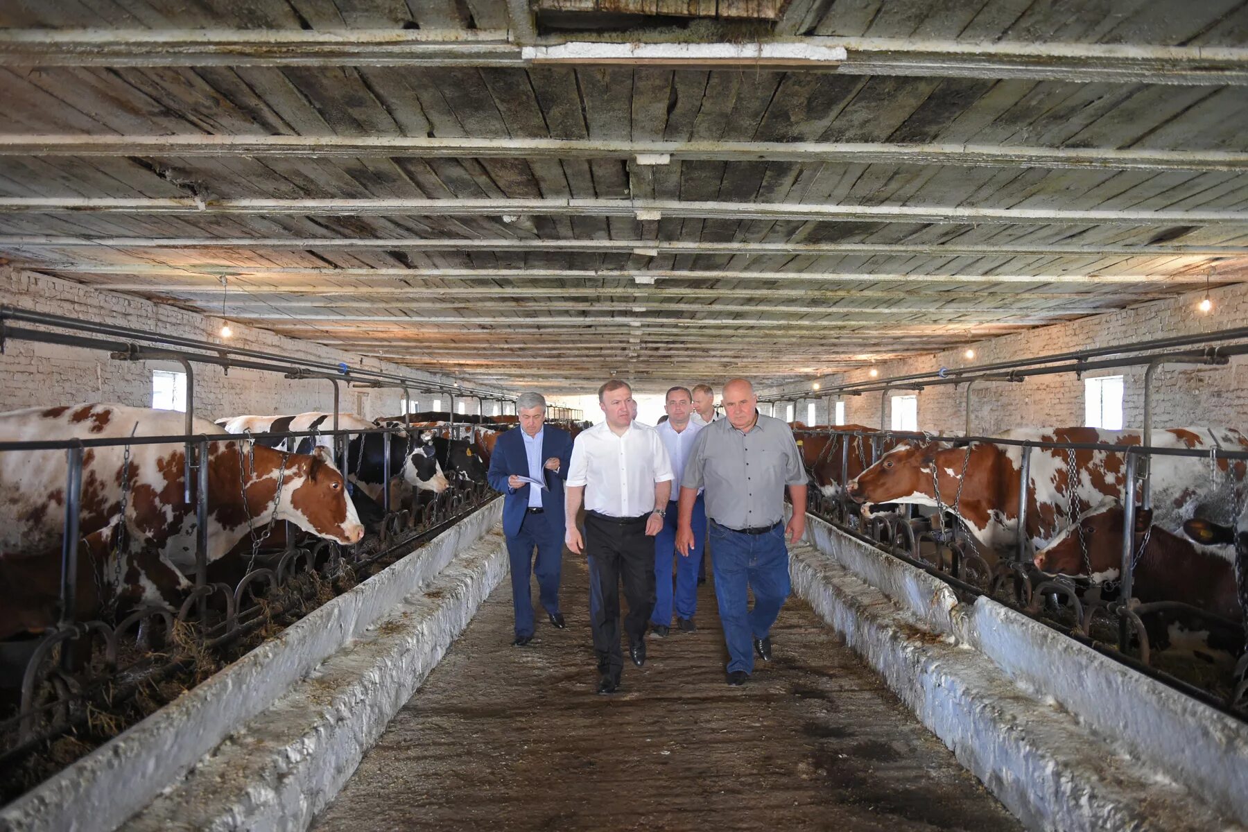 Интенсификация сельскохозяйственного производства. Интенсификация животноводства. Интенсификация животноводства. Интенсификация сельского хозяйства. Интенсификация животноводства.