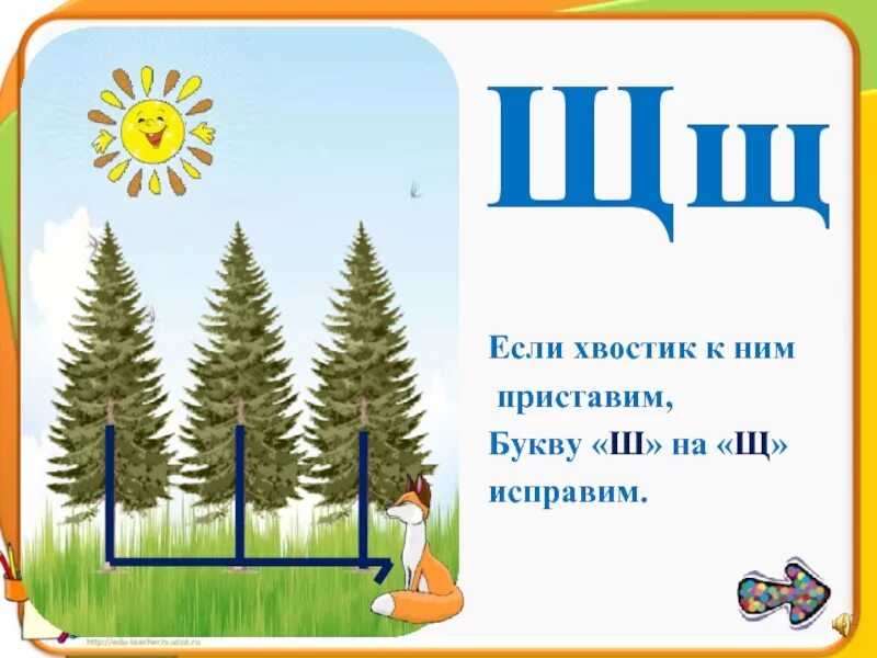 Растения на букву ш. Буква ш. Буква ш стихи для детей. Проект буква ш. Стих про букву ш.