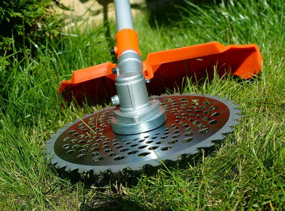 Диск кустореза huter gtd-40tp. Диск триммера с 6 ножами (b0229e/et-208082). Диск для триммера 255х25,4 40 зубьев redverg 990051. Диск для триммера для травы. Диск для триммера "max" 230*25,4*36.