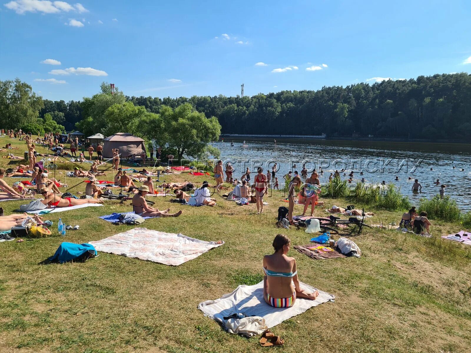 Зона купания. Платные пляжи для купания в москве. Пляжи в подмосковье для купания. Серебряный бор пляж 2. Пляж борисовские пруды 2022.