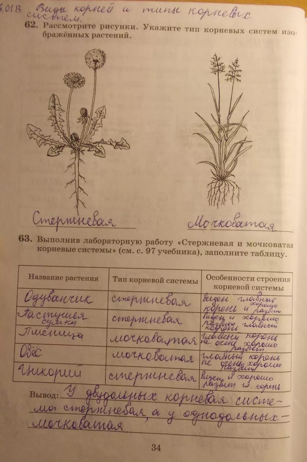 Пример лабораторных работ по биологии 6 класс Книга: "Биология. 6 класс. Тетрадь для лабораторных работ к учебнику Т.А. Исаево