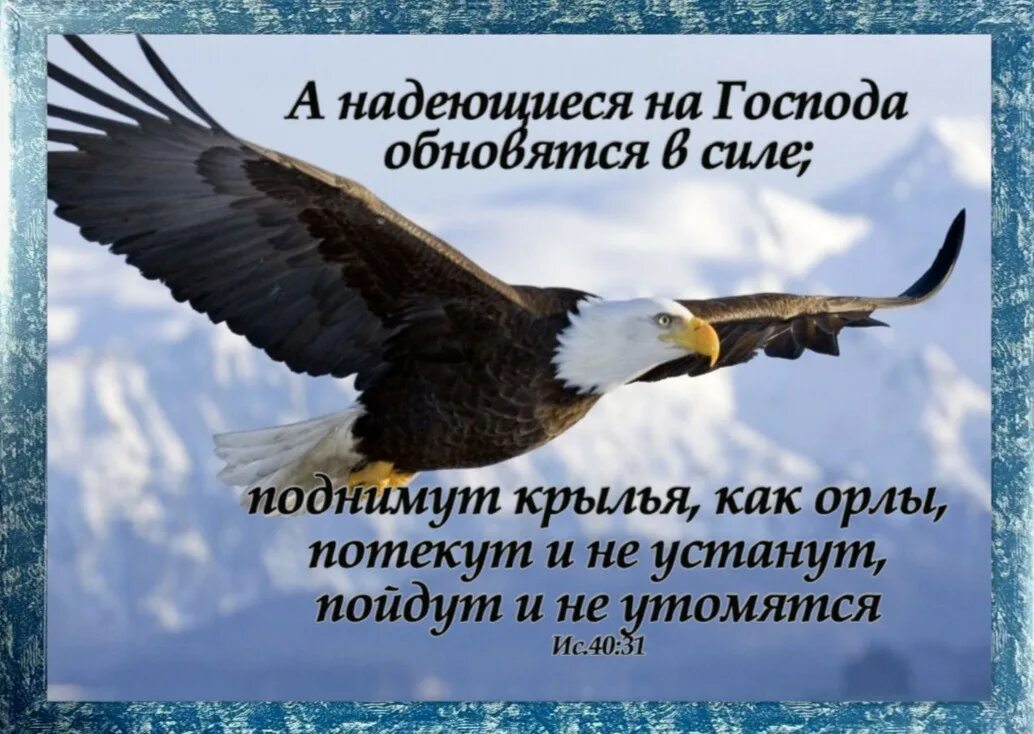 Надеющиеся на господа поднимут крылья как орлы. Надеющиеся на господа. а надеющиеся на господа обновятся в силе поднимут крылья. надеющиеся на господа обновятся в силе. амналеющиеся на господа.