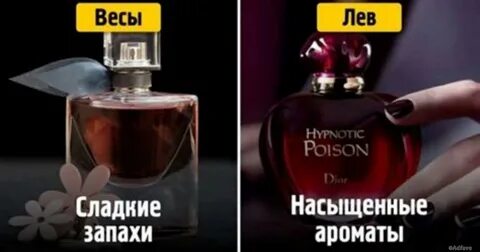 Какие духи есть в мире