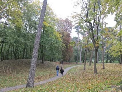 Зеленый парк зеленоград