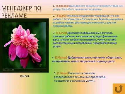 Цель баллов
