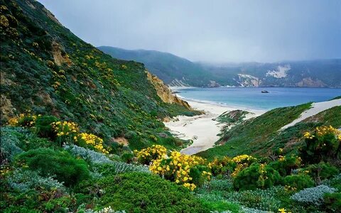 Channel islands