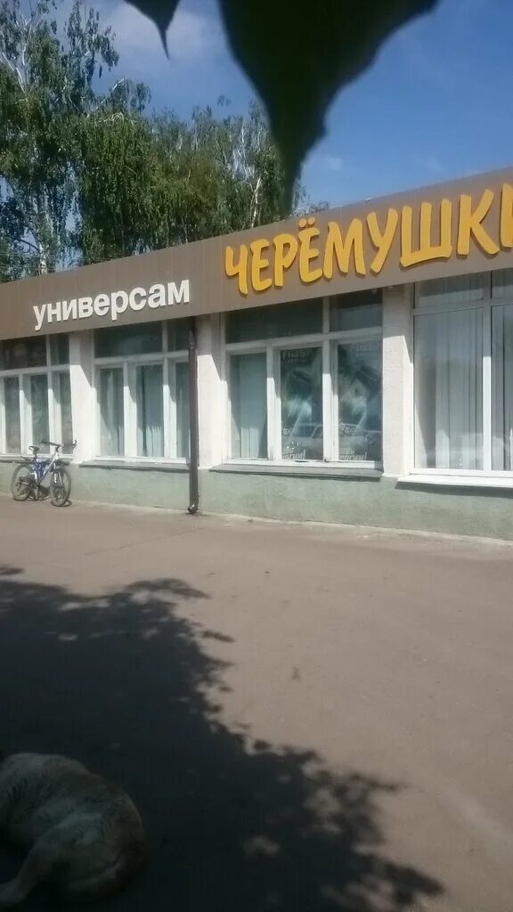 черемушки курская. черемушки курская. черемушки курская. курская область черемушки поселок черемушки. курская область черемушки поселок черемушки.