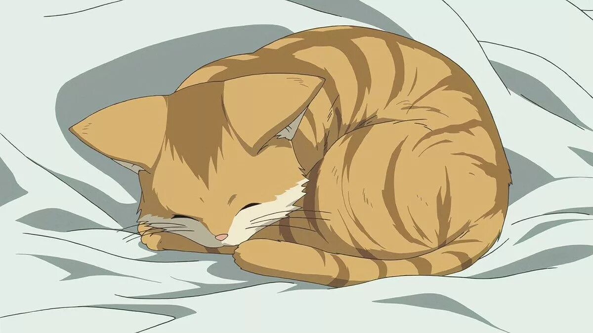 Sad cat animation
