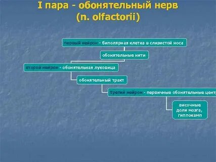 Первый нейрон