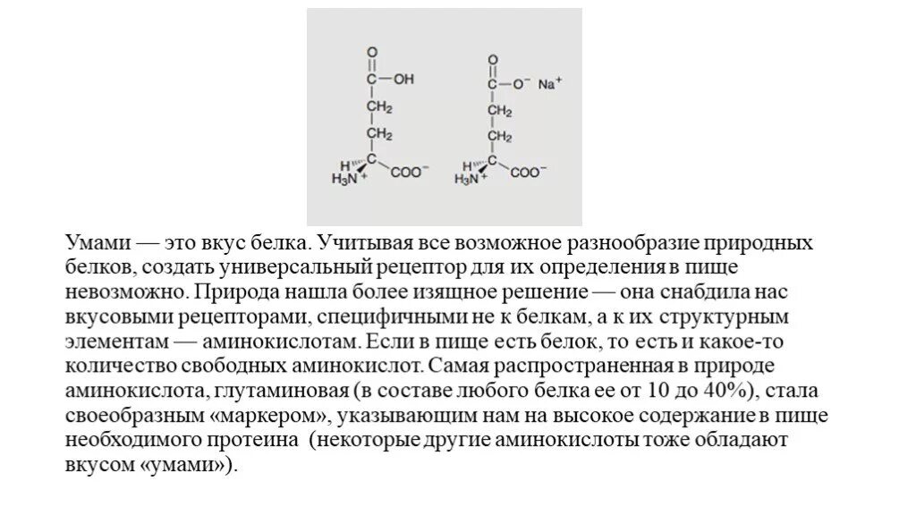 Аминокислоты нахождение в природе. Умами вкус белковой пищи. Вкус белка умами. В состав природных белков входят.
