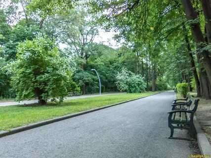 Воробьев парки