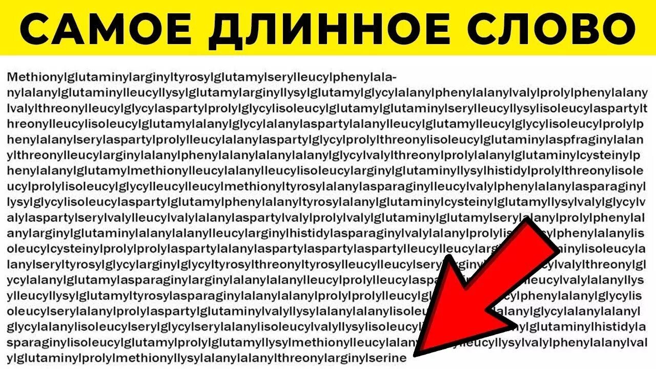 Длинное слово 15 букв. Самоед линое слово ВМИРЕ. Самое длинное слово в мире текст. Самое длинное слово в мире. Самое длинное слово в мине.