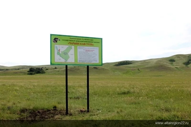 растения-подушки обитатели горных ландшафтов и каменистых степей это. охраняемые территории степи. целинная степь. охраняемые территории степей россии. хомутовская степь заповедник.