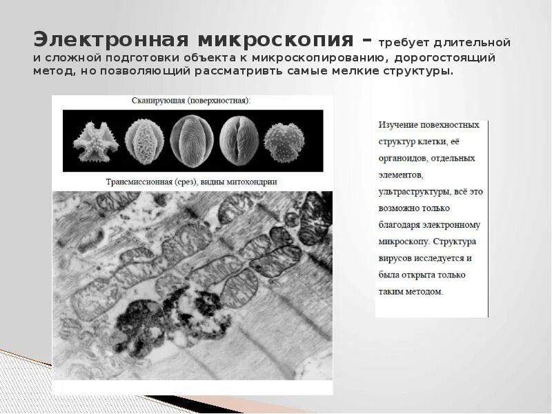 Микроскопия. Электронная микроскопия. Метод электронной микроскопии. Электронная микроскопия это в биологии.