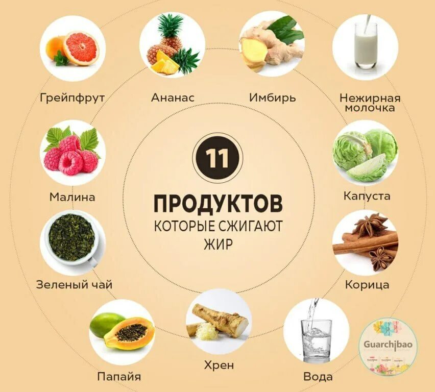 Продукты которые сжигают жир. Продукты для похудения. Продукты сжига.щие жир. Прадуктыдля похудения. Что нужно принимать чтобы быстро