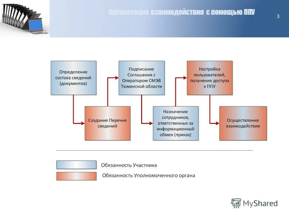 Заместитель директора государственного бюджетного учреждения