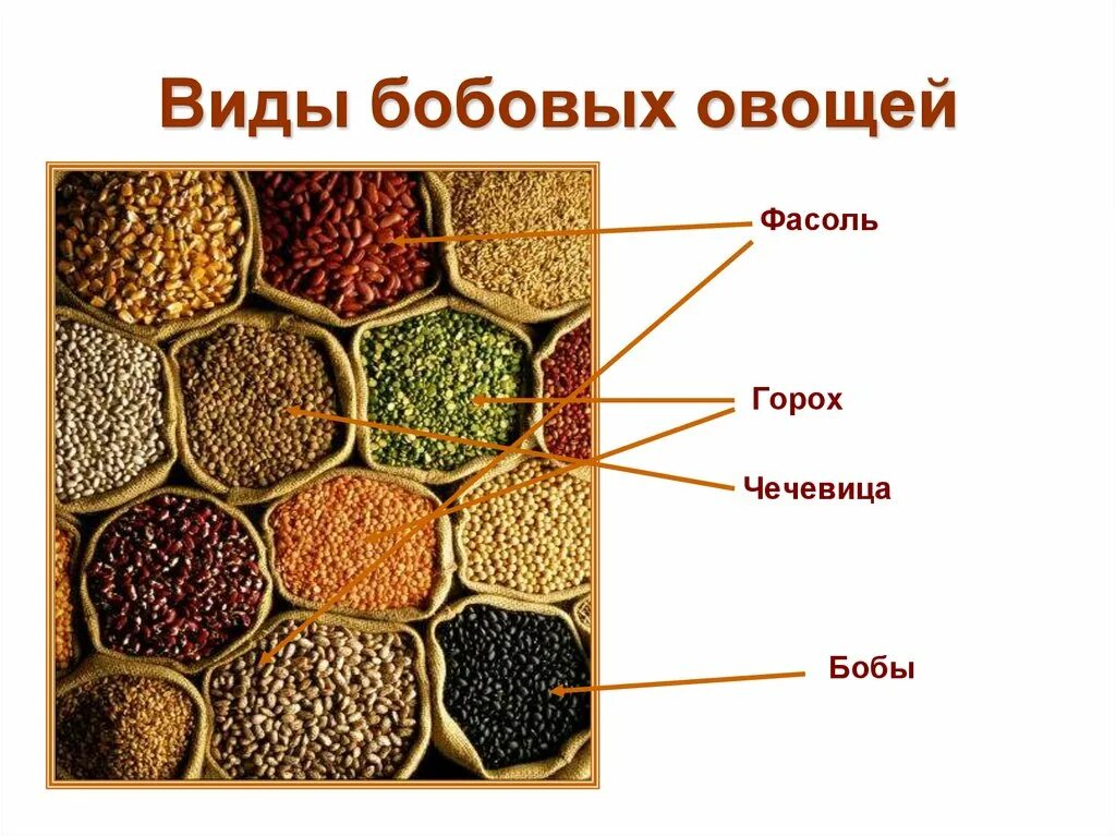 Бобовые список продуктов. Какие крупы бобовые. Крупы из бобовых культур. Какие крупы бобовые. Зерновые бобовые культуры.