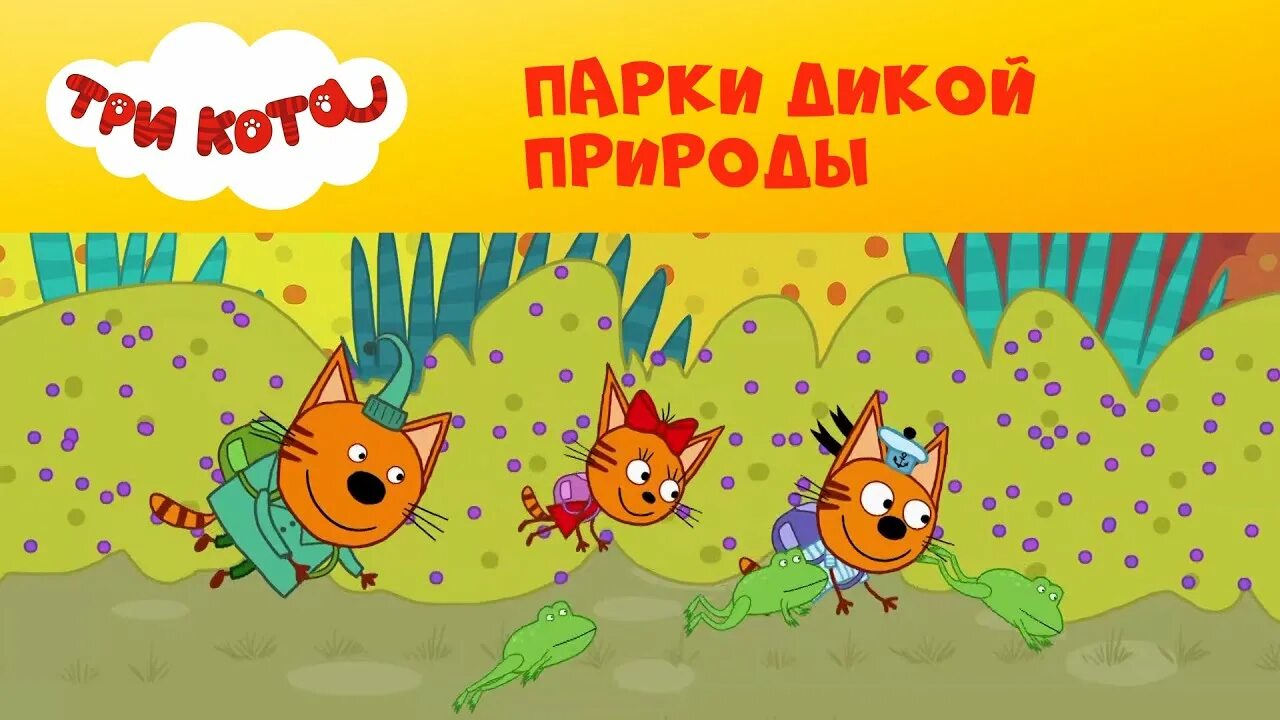 Три кота стс kids. Три кота СТС. Три кота парк. Три кота парк дикой природы. Три кота CTC Kids.