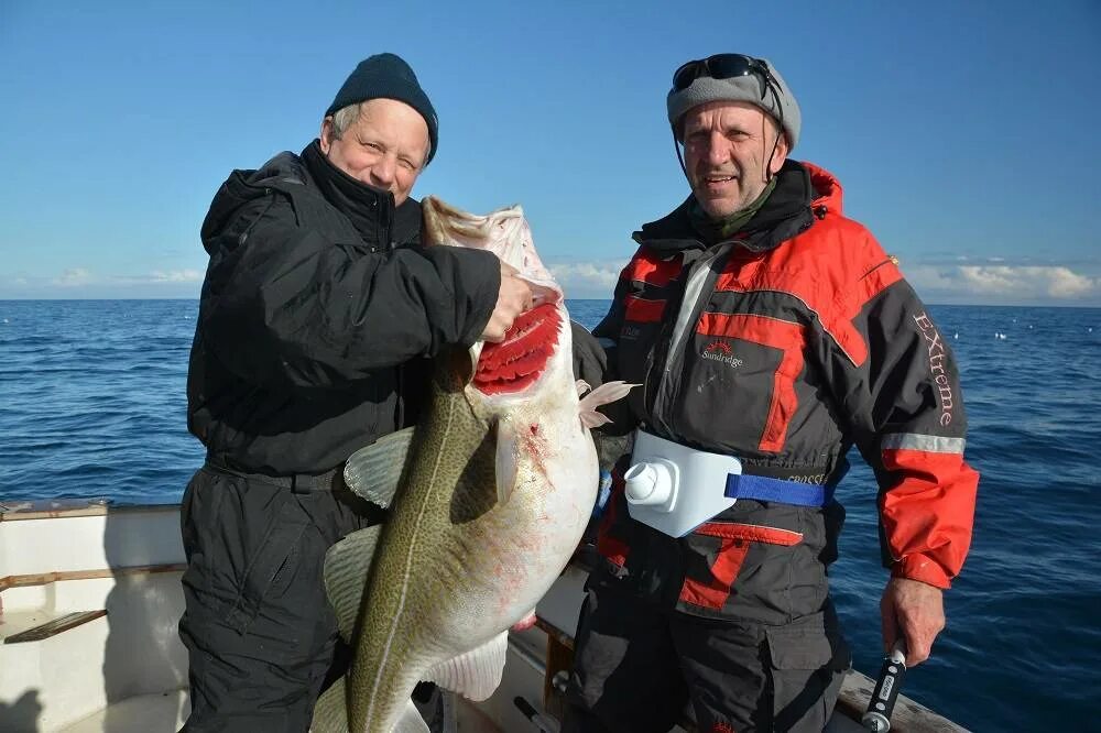 Англичане ловят рыбу в баренцевом море. Морская рыбалка треска. Треска рыбалка баренцево море. Англичане ловят рыбу в баренцевом море. Морская рыбалка треска.