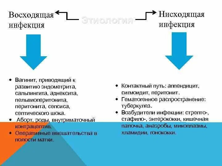 Пути инфицирования мочевыводящих путей. Патогенез внутриутробной инфекции. Гематогенный путь проникновения инфекции. Инфекция восходящих путей. Инфекция восходящих путей.
