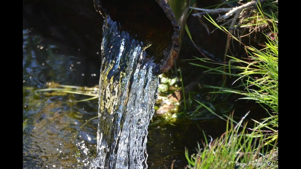 Родник Родничок. Вода Родник. Чистый Родник вода. Текущая вода Родник.