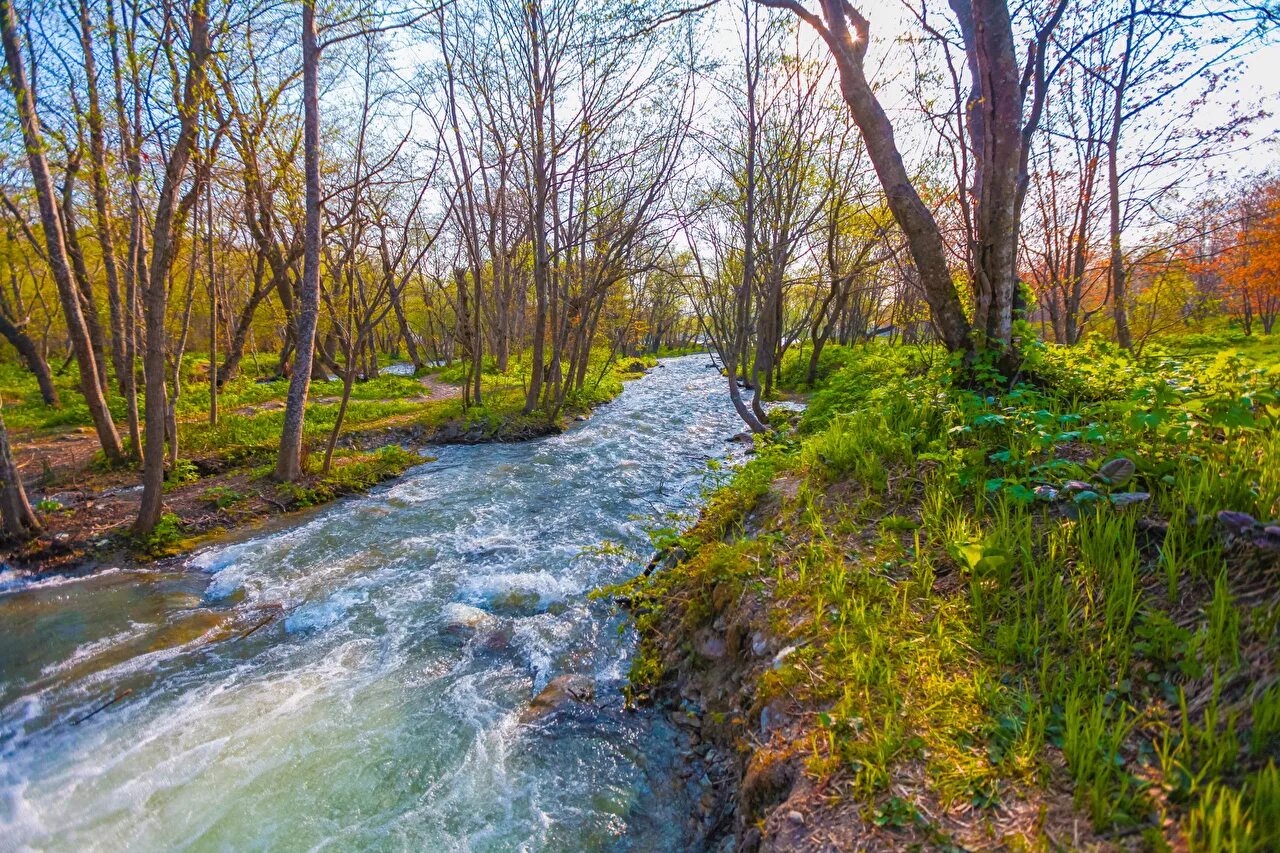 Скребельский ручей. Апрель фото природы красивые