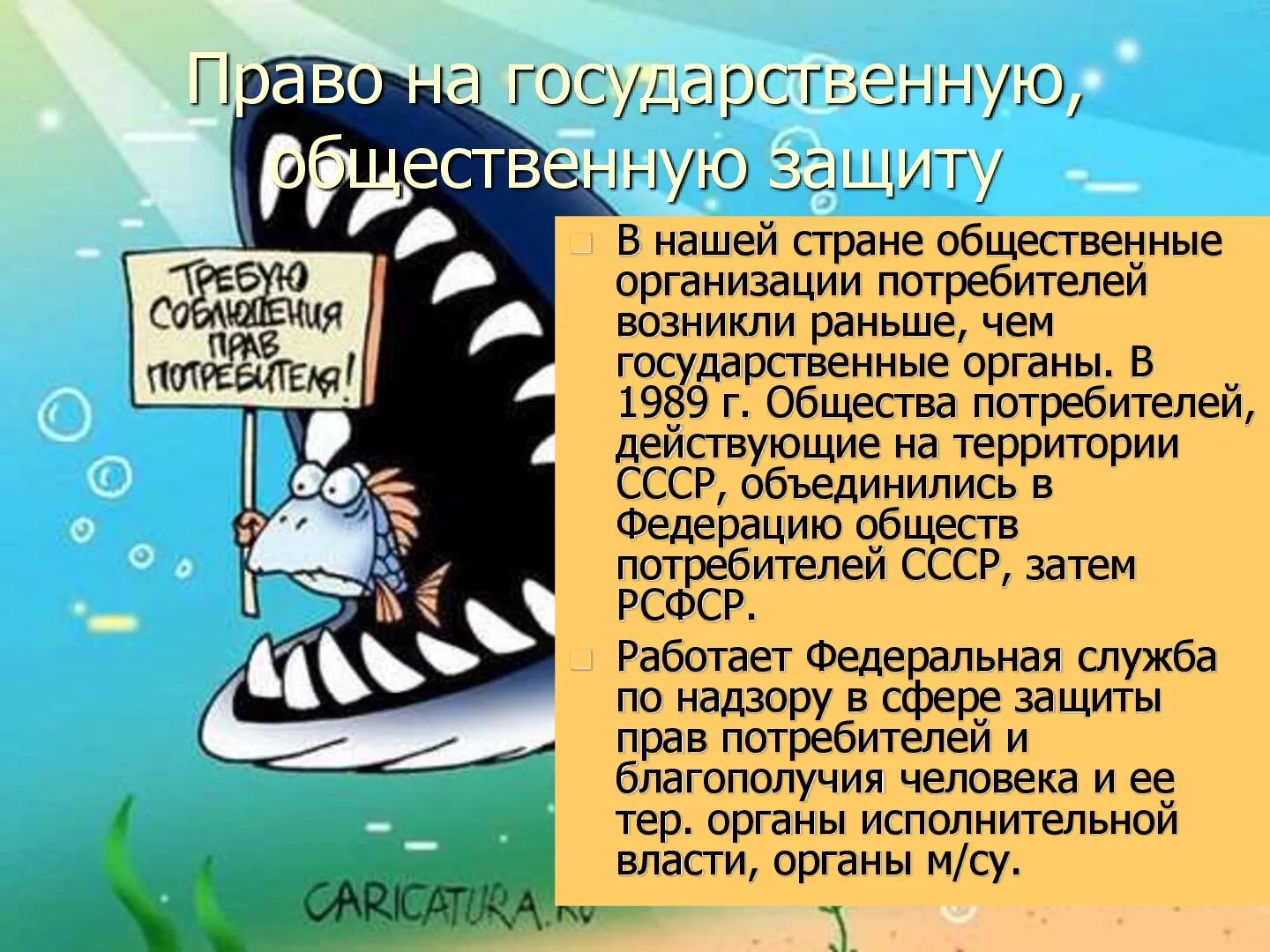 Защита прав потребителей презентация. Презентация на тему защита прав потребителей. Право на государственную общественную защиту. Общественные организации потребителей.