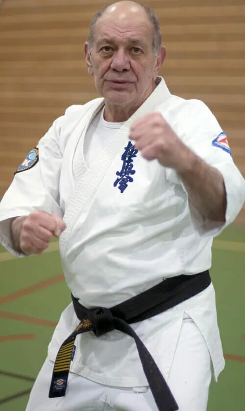 Каратэ киокушинкай кумитэ. Спортивные соревнования по каратэ. Стив арнейл цуюко. Соревнования каратэ 11 лет. Йон блюминг каратэ.