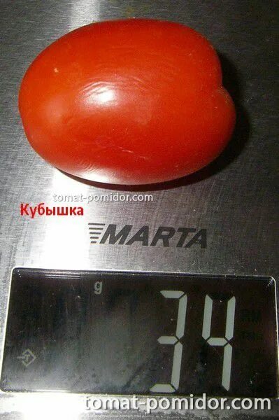 Кубышка томат отзывы. Томат кубышка ®. Томат кубышка гигантская. Томат кубышка пурпурная. Сорт помидор кубышка.