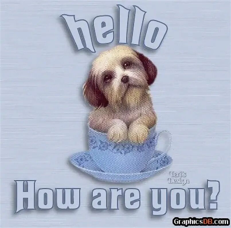 Super and how are you. How are you анимация. гиф how are you?. hi how are you картинки. картинка hello hi how are you.